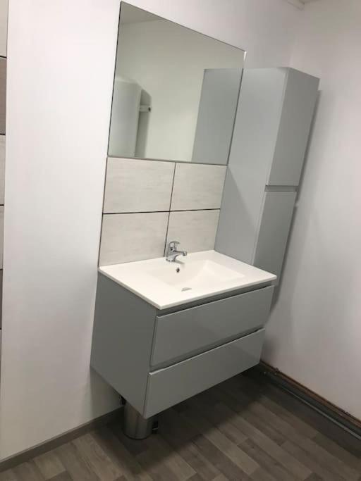 Le P'Tit Bragard Apartment Saint-Dizier Luaran gambar